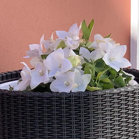 بيت للعطل - Ria House *