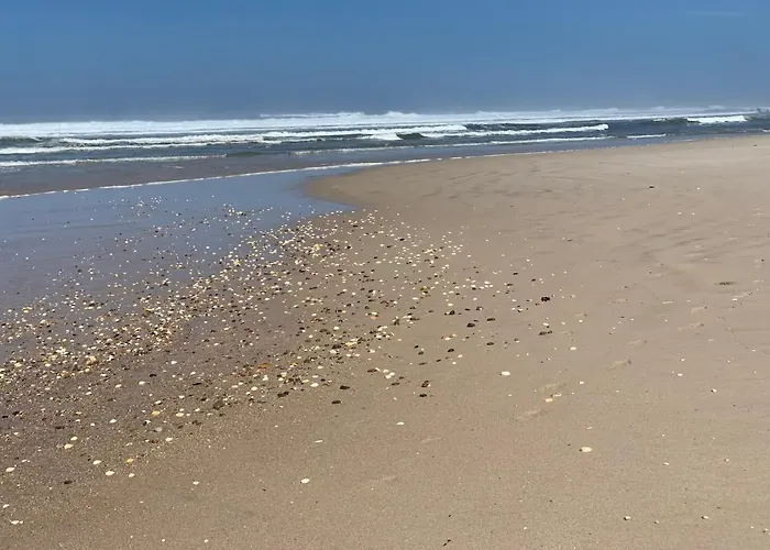 - Ria House * Торрейра